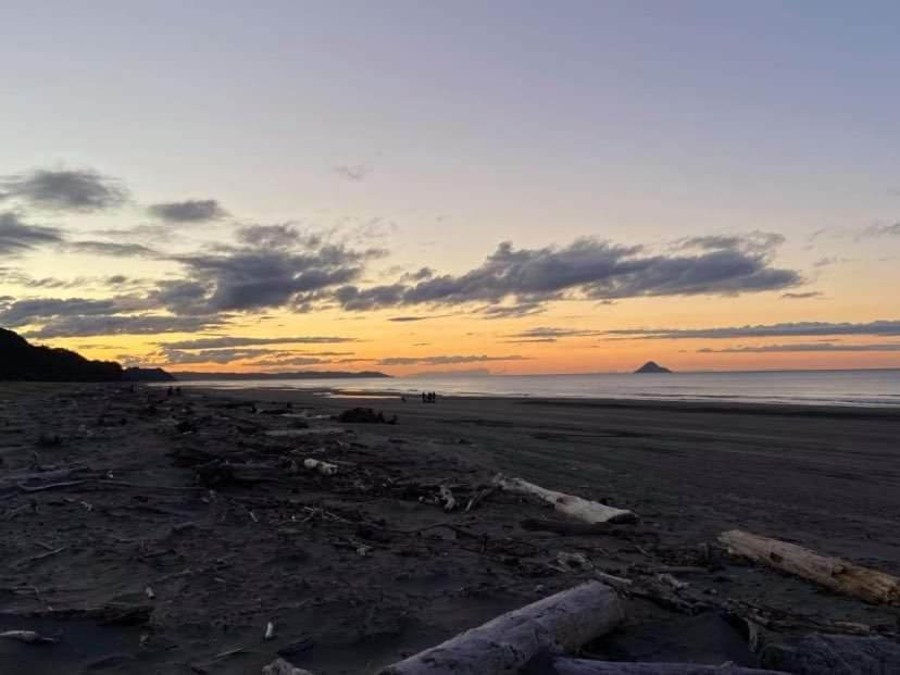 Opotiki - Waiotahe Drifts Beach Pod 外观 照片