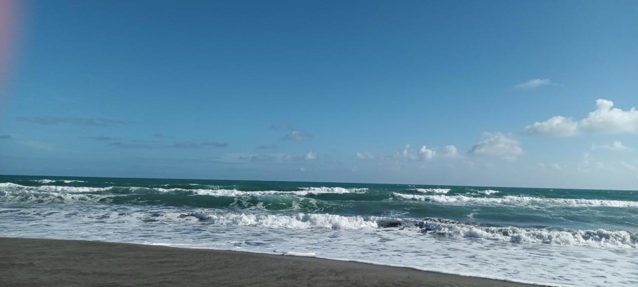 Opotiki - Waiotahe Drifts Beach Pod 外观 照片