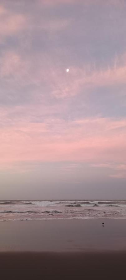 Opotiki - Waiotahe Drifts Beach Pod 外观 照片